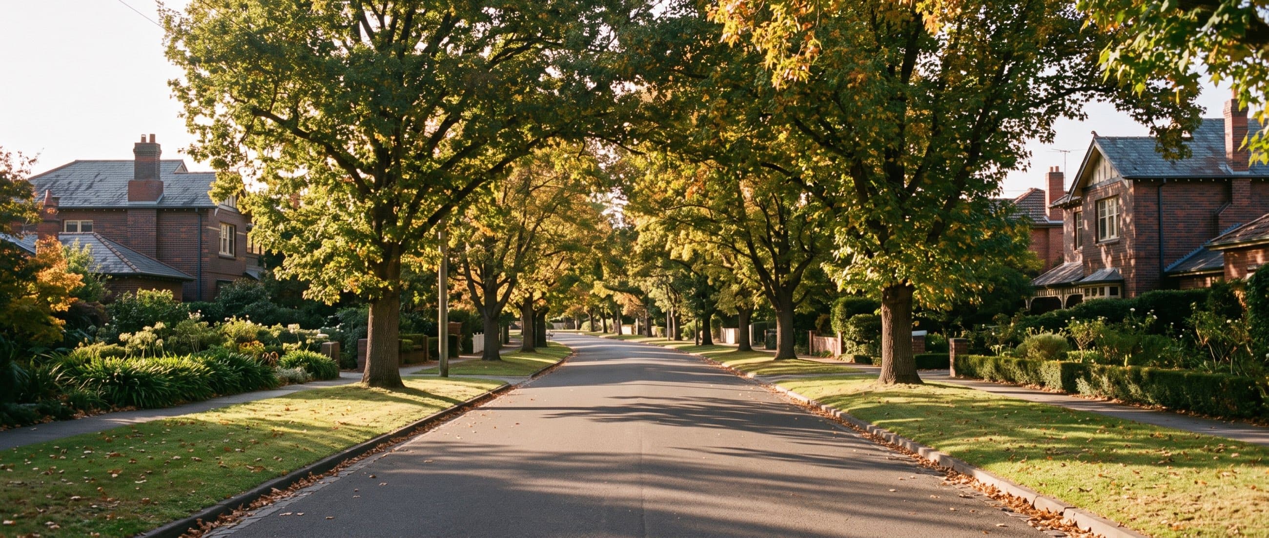 An established brick home behind a mature front garden on a tree-lined street